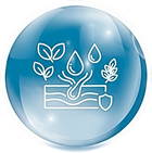 Skin-Supporting Oils