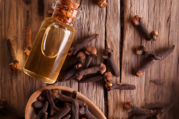 Clove Bud Oil